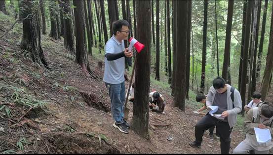 24567f532fc777c5feeebf69505a41dc